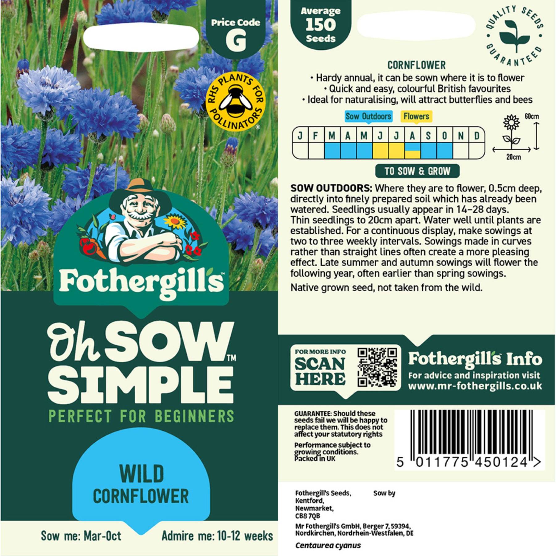 Wild Cornflower Seed